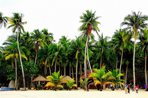 菈风小栈特色卷饼