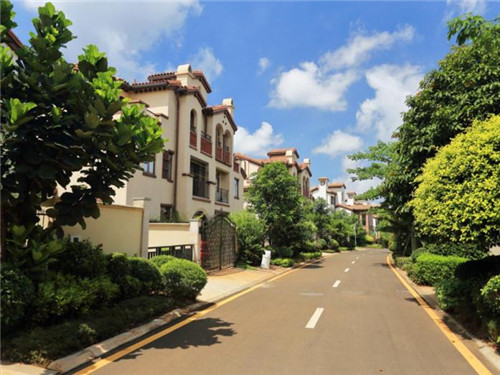 大于等于酸菜鱼