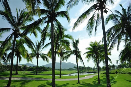 伏牛堂米粉加盟费多少