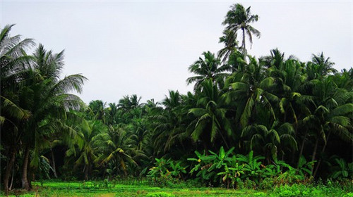 川味火锅店设计说明，醒狮火锅店设计说明