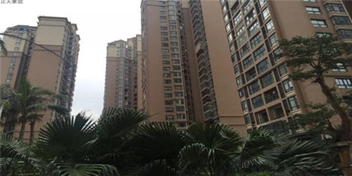 问道手游宠物喂养是什么（问道手游宠物喂养等级上限）