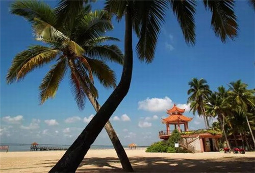 福味包子2026年还可以加盟吗